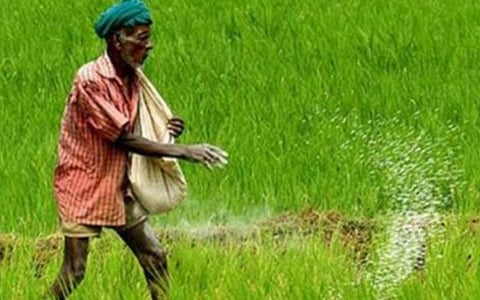 விவசாயிகளுக்கு 50% மானியத்தில் உரங்கள் பெற உழவன் செயலியில் பதிவுசெய்ய வேளாண் துறை அறிவுறுத்தல்