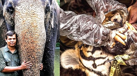 காட்டழிப்பை நிறுத்தாமல் எதுவுமே செய்ய முடியாது - ஒளிப்படக் கலைஞர் செந்தில் குமரன் பேட்டி