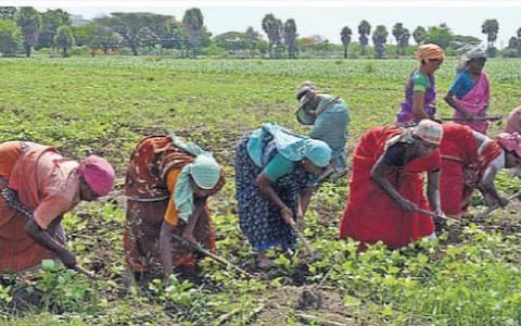 காஞ்சிபுரம் மாவட்டத்தில் விவசாய சாகுபடி 9,180 ஹெக்டேர் அதிகரிப்பு: மழை காரணமாக ஏரி, குளங்கள் நிரம்பியதால் 3 போகம் சாகுபடி
