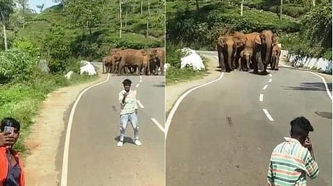 நீலகிரி மலைச் சாலை யொன்றில் யானைகள் சாலையைக் கடக்கும்போது ஆபத்தை உணராமல் செல்ப்பி எடுக்கும் இளைஞர்கள்.
