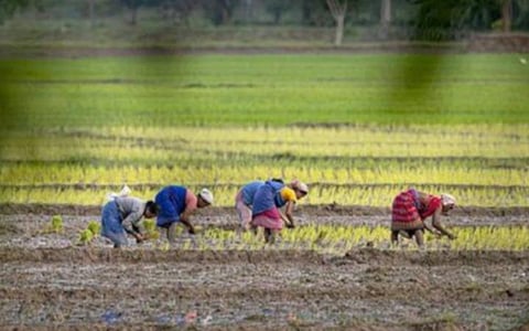 வேளாண் விளைபொருட்கள் ஏற்றுமதி ரூ.3.79 லட்சம் கோடியை தாண்டியது