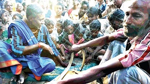 இருளர்களின் வாழ்வாதாரத்தைக் காக்க வேண்டும்!