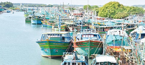 மீன்பிடி தடைக்காலம் தொடங்கியதால் கடலூர் துறைமுகத்தில் நிறுத்தி வைக்கப்பட்டுள்ள படகுகள்.