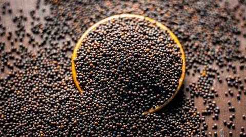 ஆரோக்கியத்தை அள்ளித்தரும் கடுகு