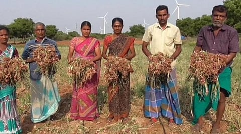 பழநி அருகே பனம்பட்டி கிராமத்தில் வெங்காயம் பயிரிட்ட விளைநிலத்தில் விவசாயி சிவராஜ்(வலமிருந்து இரண்டாவது) மற்றும் குடும்பத்தினர். 