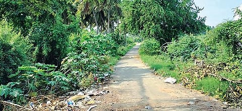 உடுமலை அருகே மயானத்துக்கு செல்லும் பாதையில் தெருவிளக்கு கோரி 50 ஆண்டுகளாக போராடும் மக்கள்