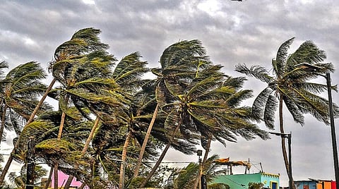 வடமேற்கு திசையில் நகரும் ‘அசானி’ புயல்: தமிழகத்தில் 4 நாட்களுக்கு மழை வாய்ப்பு