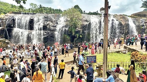 குமரி மாவட்டம் திற்பரப்பு அருவியில் குளிக்க  விடுமுறை நாளான நேற்று பிற மாநில சுற்றுலா பயணிகள் அதிக அளவில் வந்திருந்தனர்.