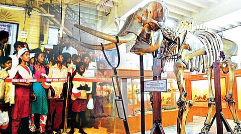 அருங்காட்சியகங்கள் ஏன் நமக்கு அவசியம்?