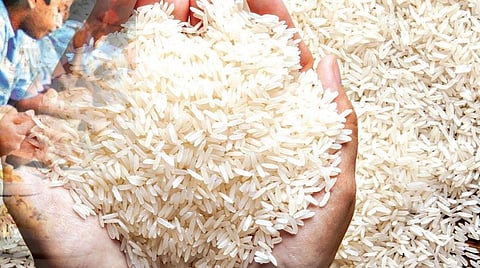 ஊட்டமேற்றப்பட்ட அரிசி: யாருக்கு லாபம்?