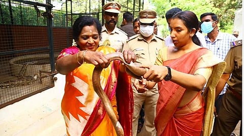 புதுச்சேரியில் உள்ள 200 ஆண்டுகள் பழமையான தாவரவியல் பூங்காவை ஆய்வும் செய்கிறார் ஆளுநர் தமிழிசை.
