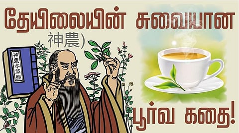 தேயிலையின் சுவையான பூர்வ கதை!
