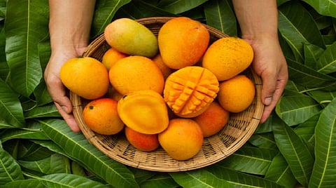 மாம்பழம் - பழங்களின் ராஜா