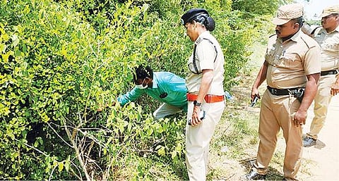 அரக்கோணம் அருகே சாலை கிராமத்தில் முட்புதரில் தம்பதி உடல் வீசப் பட்டிருந்த இடத்தை நேற்று ஆய்வு செய்த வேலூர் சரக டிஐஜி ஆனி விஜயா.