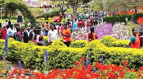 கொடைக்கானல் பிரையண்ட் பூங்காவில் மலர் கண்காட்சி நிறைவு நாளில் மலர்களை பார்த்து ரசித்த சுற்றுலாப் பயணிகள்.