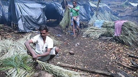 பிரதிநிதித்துவப் படம்.