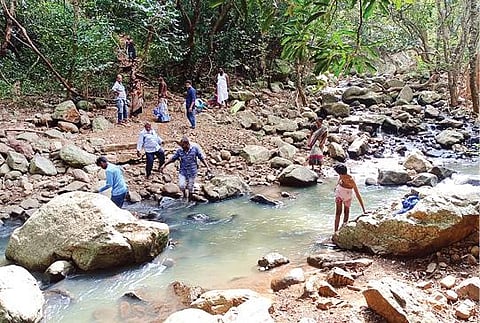 பச்சமலையில் கோரையாறு அருவிக்குச் செல்லும் வழியிலுள்ள ஓடையை சிரமப்பட்டு கடந்து செல்லும் சுற்றுலாப் பயணிகள்.