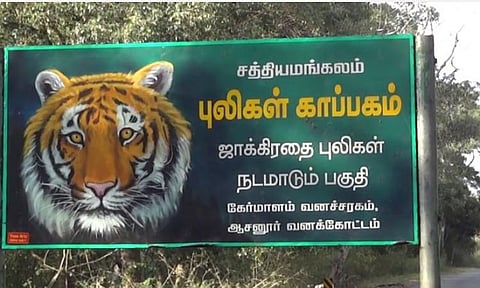 சத்தியமங்கலம் புலிகள் காப்பகப் பகுதியில் வனவிலங்குகளை தொந்தரவு செய்தால் நடவடிக்கை: வாகன ஓட்டிகளுக்கு வனத்துறை எச்சரிக்கை