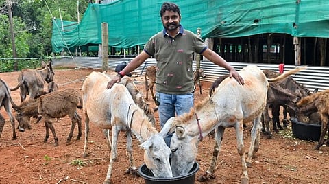 கழுதைகளுடன் சீனிவாச கவுடா