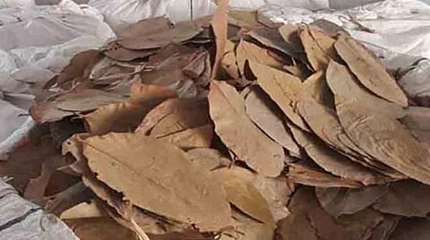 இலங்கைக்கு கடத்த முயன்ற 1,700 கிலோ பீடி இலைகள் பறிமுதல்: கியூ பிரிவு போலீஸார் நடவடிக்கை