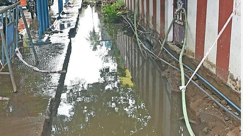 சென்னை மழை: 19 இடங்களில் தண்ணீர் தேக்கம்; 37 மரங்கள் விழுந்தன 