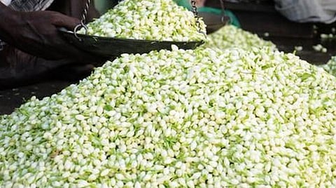 விசேஷங்கள் இல்லாததால் பூக்கள் விலை சரிவு: மல்லிகை கிலோ ரூ.250-க்கு விற்பனை