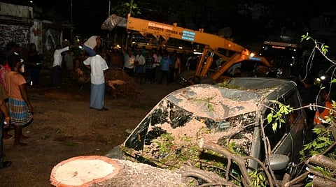சென்னை கே.கே. நகரில் மரம் விழுந்து ஏற்பட்ட விபத்து.