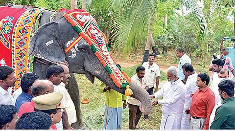 திருச்செந்தூர் முருகன் கோயிலில் ரூ.300 கோடி மதிப்பில் மேம்பாட்டு திட்டங்கள்: அமைச்சர் சேகர்பாபு தகவல்