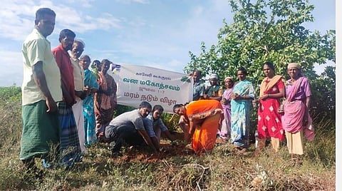 'காவேரி கூக்குரல்' சார்பில் 2.10 லட்சம் மரக்கன்றுகளை நட்ட விவசாயிகள்