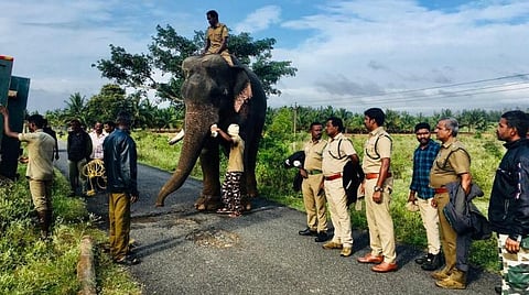 கும்கி சின்னத்தம்பி