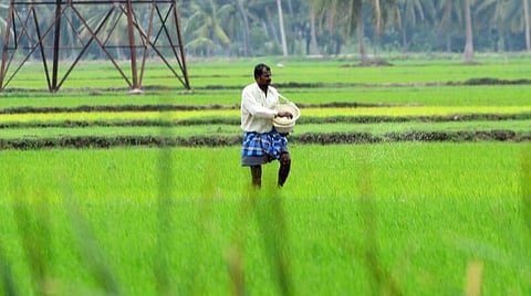 தேவைக்கேற்ப உரங்களை வாங்கி பயன்படுத்துங்கள் - விவசாயிகளுக்கு அமைச்சர் பன்னீர்செல்வம் வேண்டுகோள்