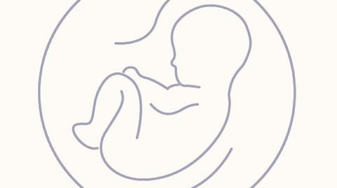 பிரதிநிதித்துவப் படம்