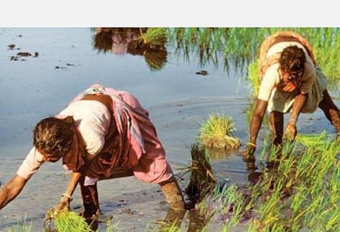 பிரதிநிதித்துவப் படம்