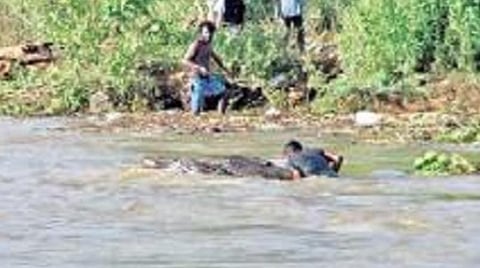 ஆபத்தை உணராமல், பவானி ஆற்றில் மரக்கட்டைகளை சேகரிக்கும் பணியில் ஈடுபட்டுள்ள இளைஞர்கள்.