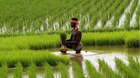 பிஎம் கிசான் திட்டத்தில் பதிவை புதுப்பிக்க அறிவுறுத்தல்