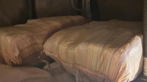 கஞ்சா விற்பனை: சென்னையில் 7 நாள் சிறப்பு சோதனையில் 20 பேர் கைது