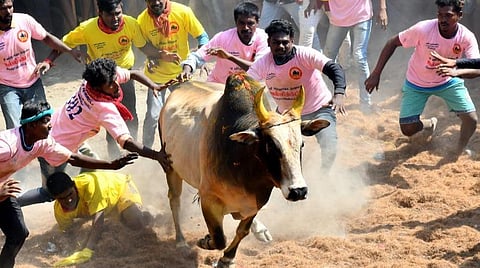 பிரதிநிதித்துவப் படம்.