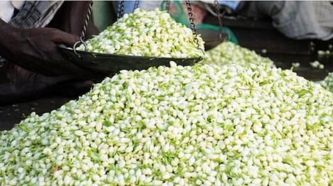 சேலம் | ஆடிப்பெருக்கை முன்னிட்டு குண்டு மல்லி கிலோ ரூ.1,000 ஆக அதிகரிப்பு