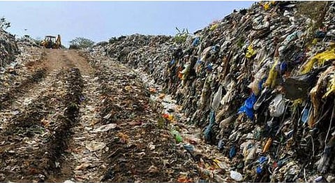 பயோ மைனிங் மூலம் குப்பைகள் அகற்றப்படும்: குறுங்காடு ஆகிறது திருப்போரூர் குப்பை கிடங்கு