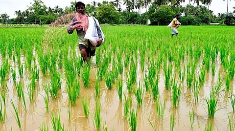 பி.எம். கிசான்: ஆதார் எண் பதிவு செய்த விவசாயிகளுக்கு மட்டுமே ரூ.2,000 நிதி