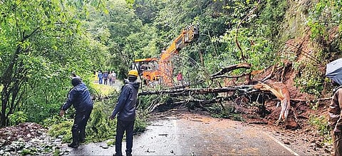 உதகை - அவலாஞ்சி சாலையில் மண் சரிவு: சீரமைப்பு பணிகள் தீவிரம்