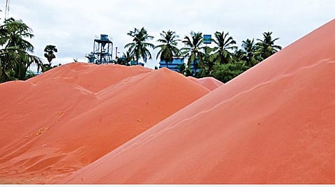 இயற்கை 24X7: மணல் புதையல்