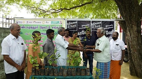 காவேரி கூக்குரல் இயக்கத்தின் 1 லட்சம் மரங்கள் நடும் திட்டம்: தேவராயபுரத்தில் 16,500 மரக்கன்றுகள் நடவு