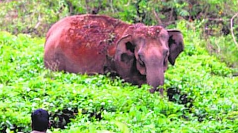 பிரதிநிதித்துவப்படம்