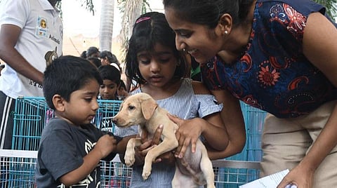 பிரதிநிதித்துவப்படம்