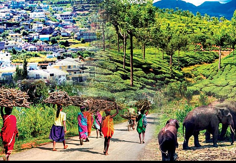 இந்தியா 75: தத்தளிக்கும் காட்டுயிர்களும் வாழிடங்களும்