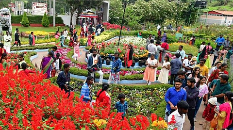 கரோனாவுக்கு பிறகு கடந்த 7 மாதங்களில் 11.52 கோடி பயணிகள் வருகை - படிப்படியாக மீண்டுவரும் தமிழக சுற்றுலாத் துறை