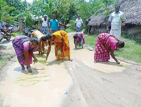 வந்தவாசி அடுத்த கோயில்குப்பம் கிராமத்தில் நேற்று  சாலையில் நாற்று நடும் போராட்டத்தில் ஈடுபட்ட பெண்கள்.