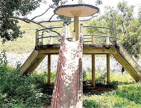 பழநி பாலாறு பொருந்தலாறு அணை பூங்கா புதர் மண்டி கிடக்கிறது.