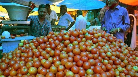 உடுமலையில் ஒரு கிலோ தக்காளி ரூ.30-க்கு கொள்முதல்: விவசாயிகள் மகிழ்ச்சி
